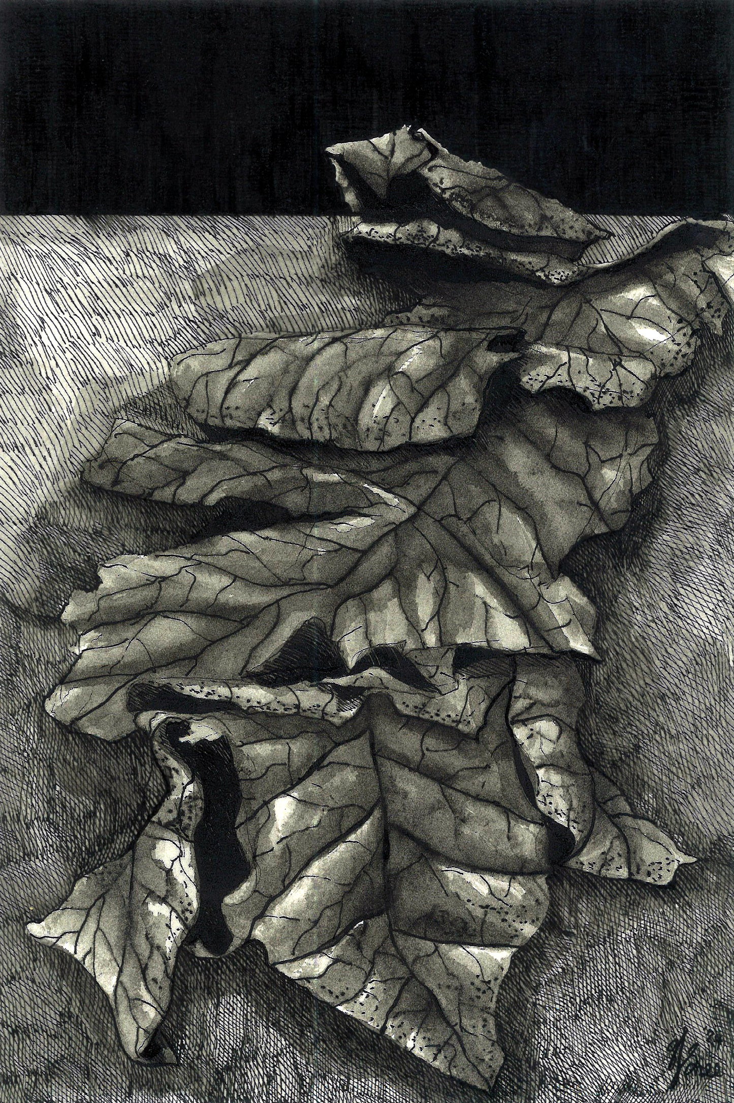 Dried Leaf Still Life Inking